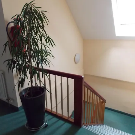 Отель Central Hotel Friedrichshafen