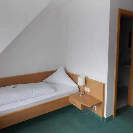 セントラル ホテル フリードリッヒスハーフェン ホテル フリードリヒスハーフェン