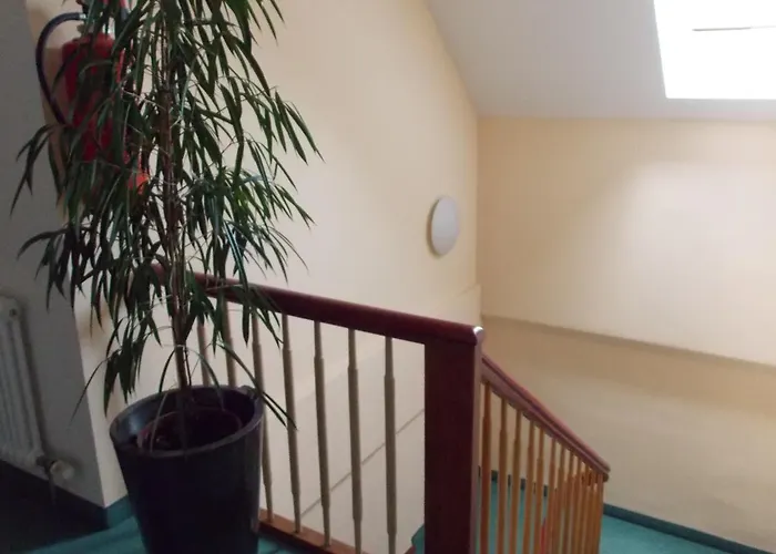 فندق سنترال هوتل فريدريششفن 3*